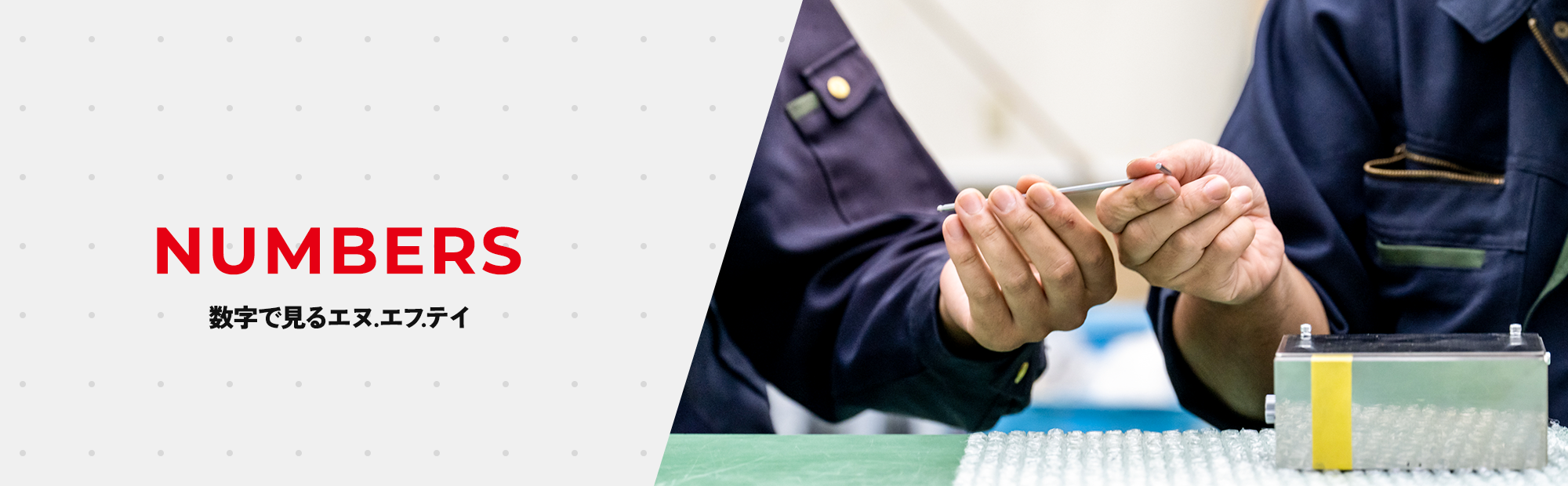 数字で見るエヌ.エフ.テイ